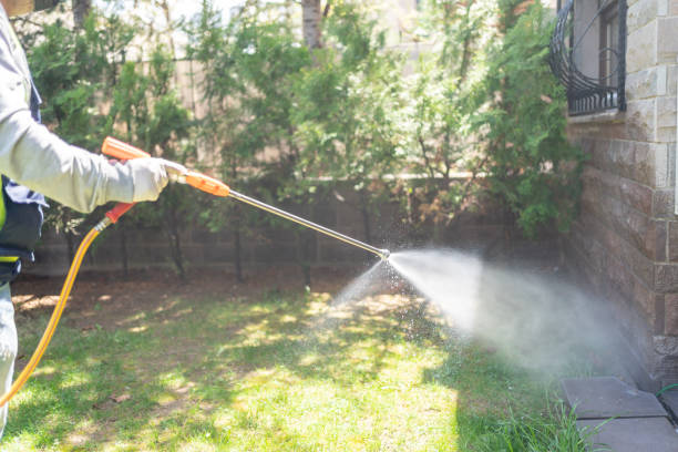 Best Pest Removal Services  in Willowbrook, CA